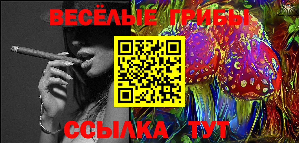 Псилоцибиновые грибы MAGIC MUSHROOMS Протвино